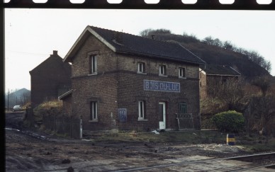 BOIS DU LUC  80-488.jpg